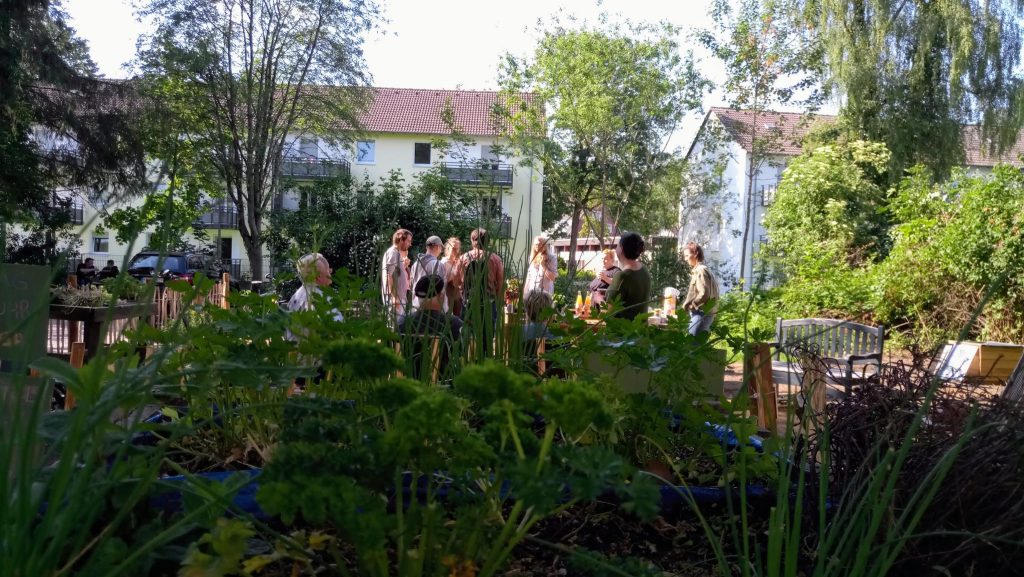 Neues Gartenprojekt in Goldhamme wächst rasant